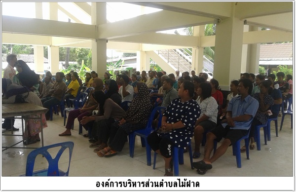 โครงการกลุ่มอาชีพ การกรีดยางและการลับมีดกรีดยางประจำปี 2559