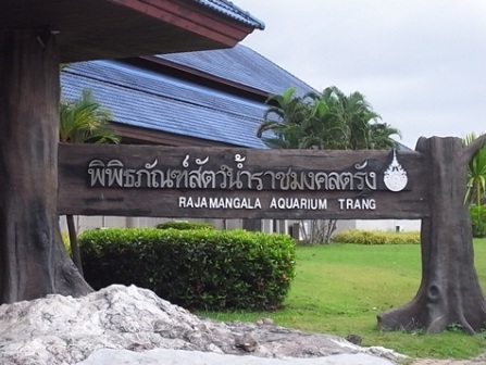 พิพิธภัณฑ์สัตว์น้ำราชมงคล